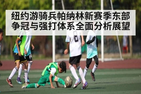 纽约游骑兵帕纳林新赛季东部争冠与强打体系全面分析展望（kaiyun）