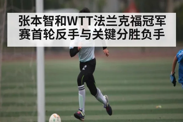 张本智和WTT法兰克福冠军赛首轮反手与关键分胜负手