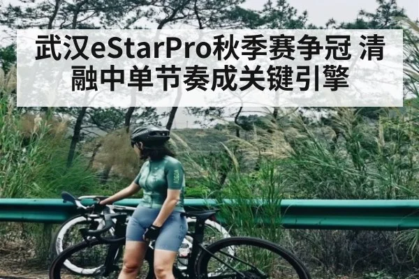 武汉eStarPro秋季赛争冠 清融中单节奏成关键引擎